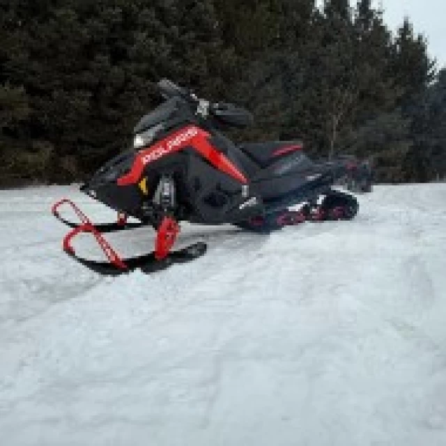 POLARIS ASSAULT SB 146  2021