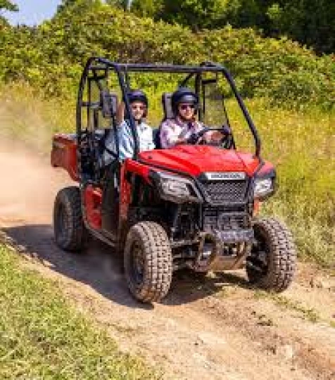 2026 HONDA PIONEER 520 